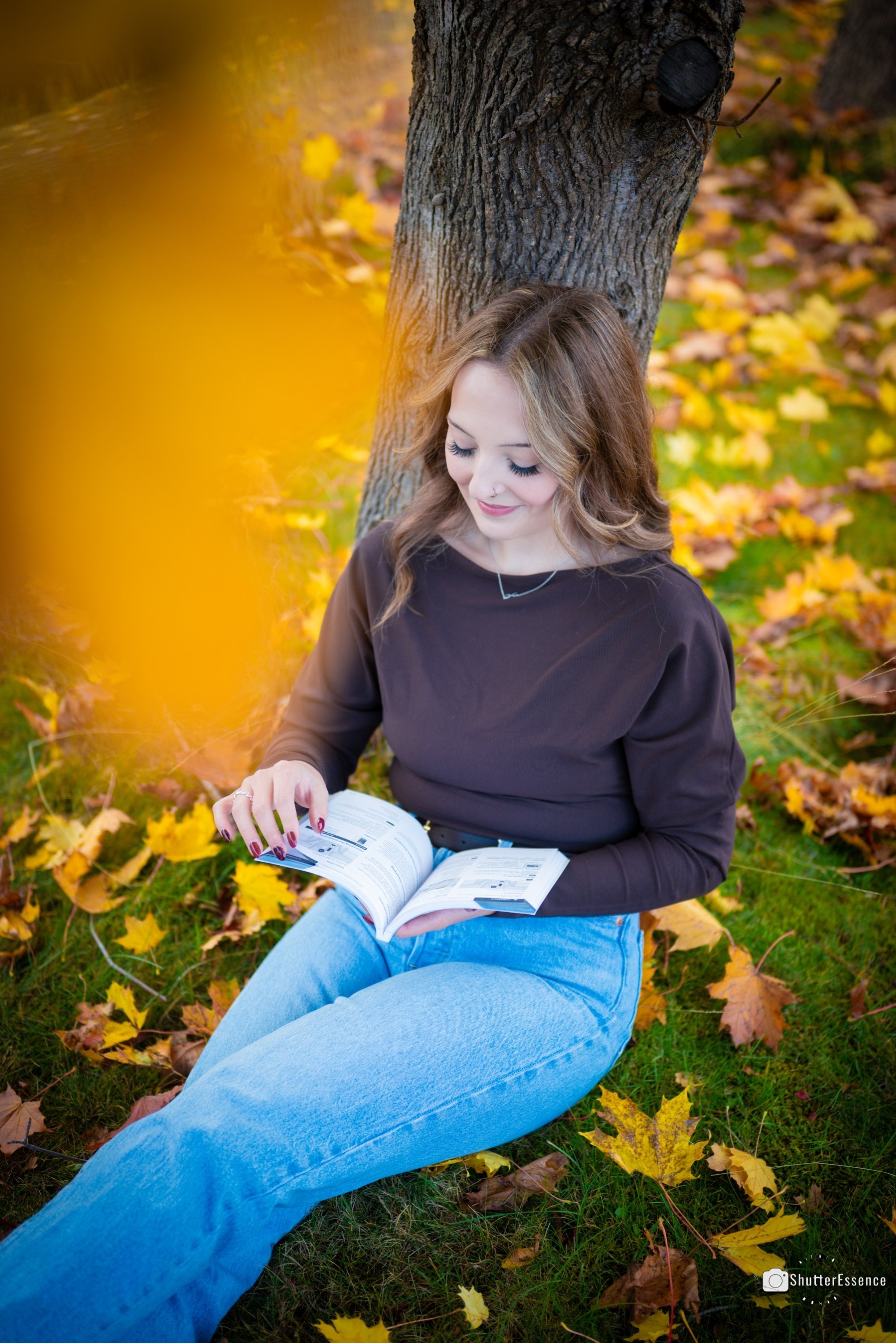 carousel-hero-element image-1